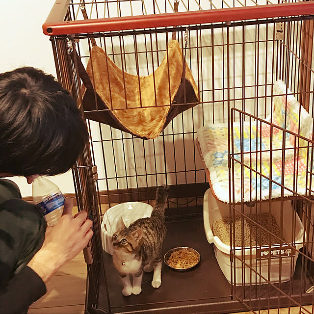eriさんの実例写真