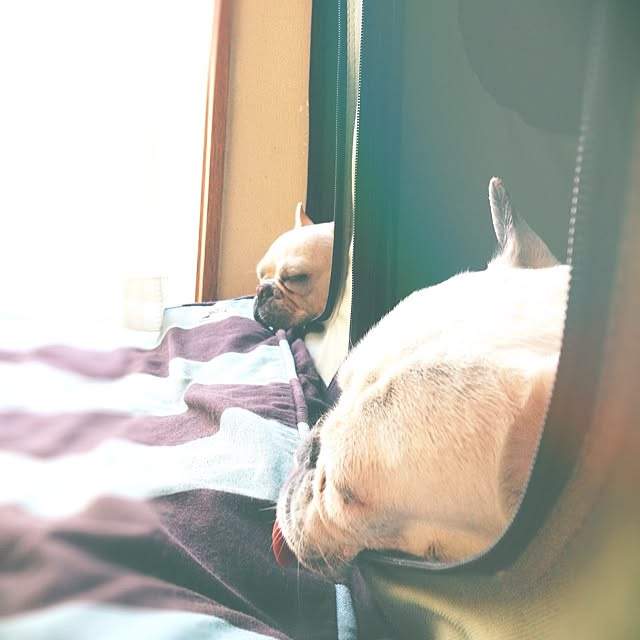 38coreさんの実例写真