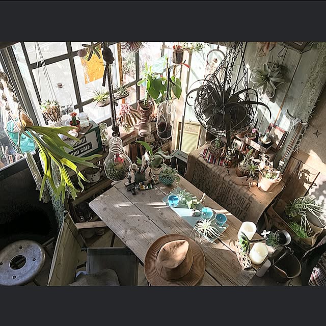 edenさんの実例写真