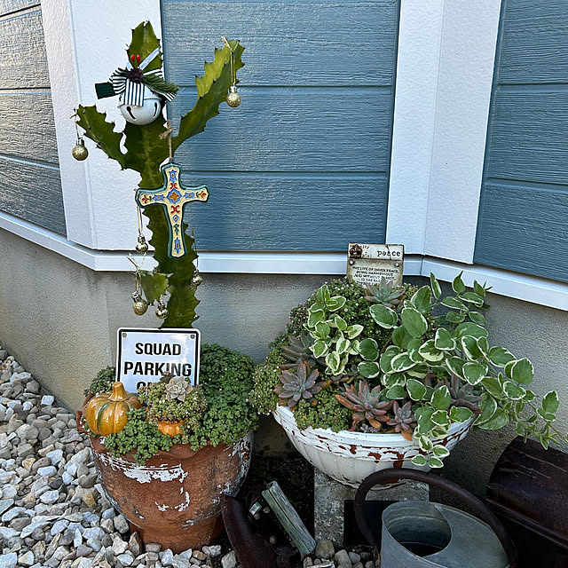 31さんの実例写真