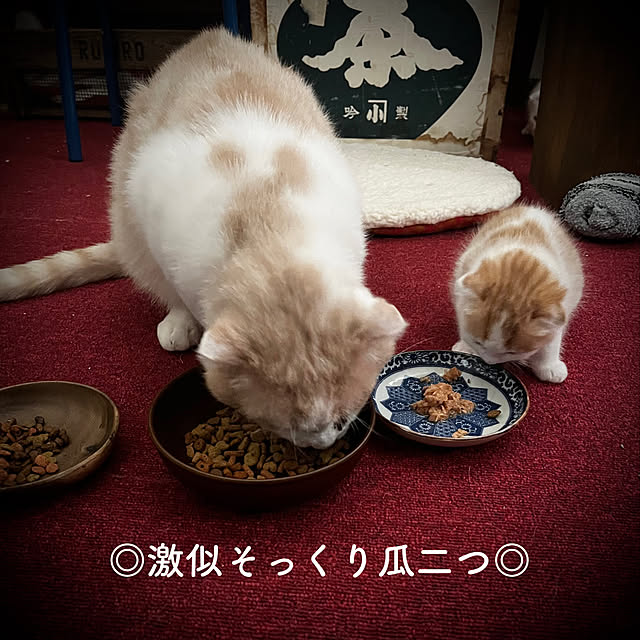 marusanさんの実例写真