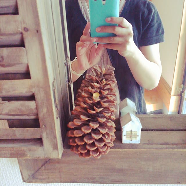 aiさんの実例写真