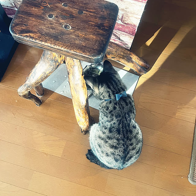 Mさんの実例写真