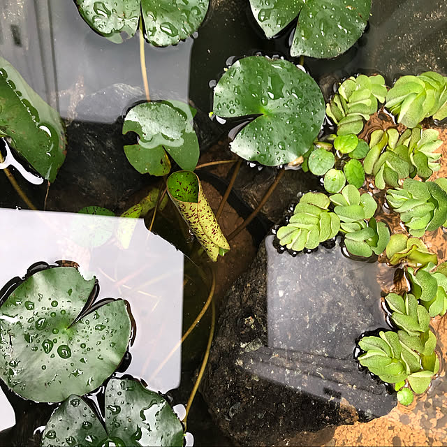Yujiさんの部屋