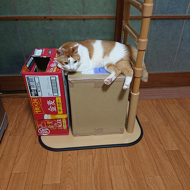 mugi77327732さんの実例写真