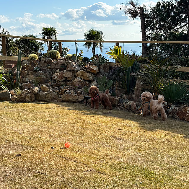 bonber0212さんの実例写真