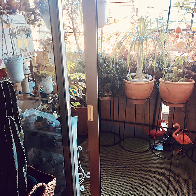 erikoさんの実例写真