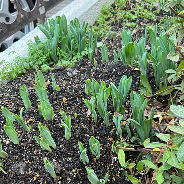 mamizaさんの部屋