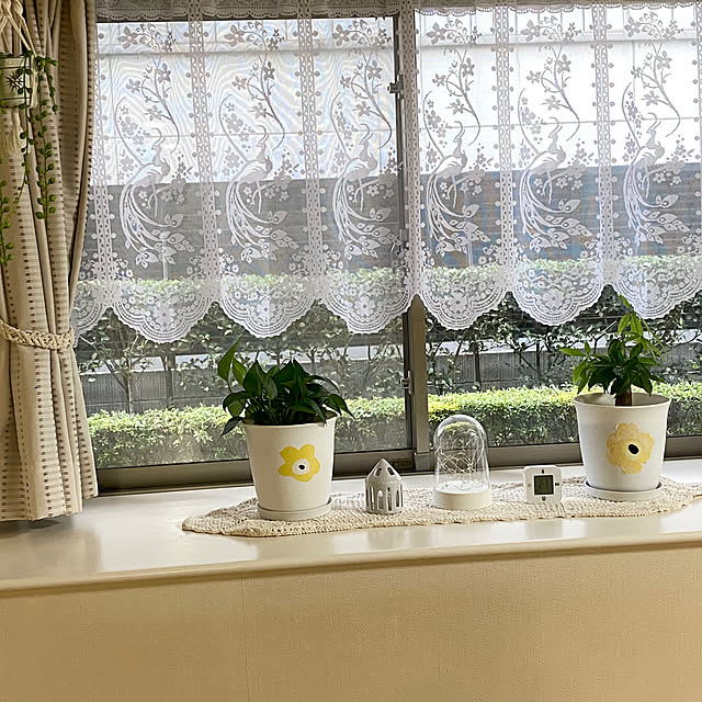 YuuKoさんの実例写真