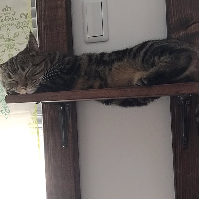 neuruさんの実例写真