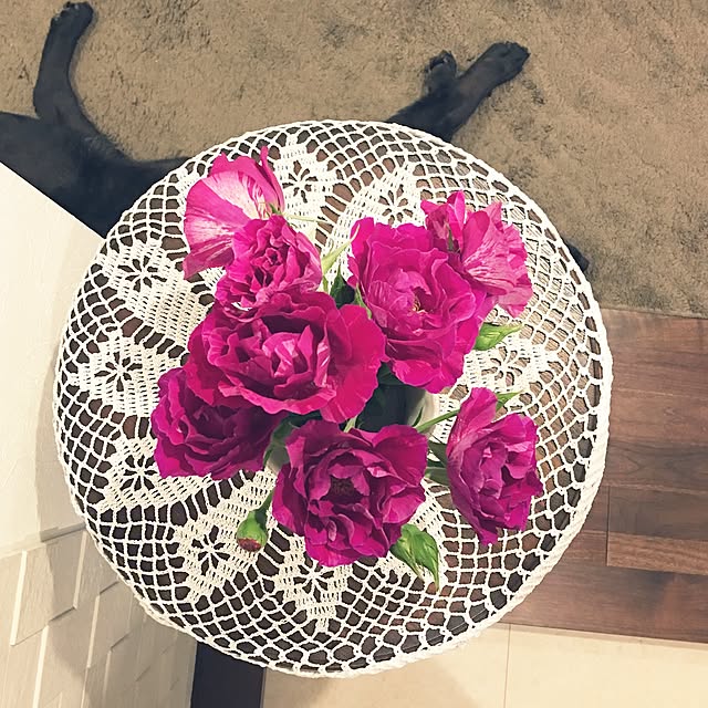 Sakura_hanaさんの実例写真