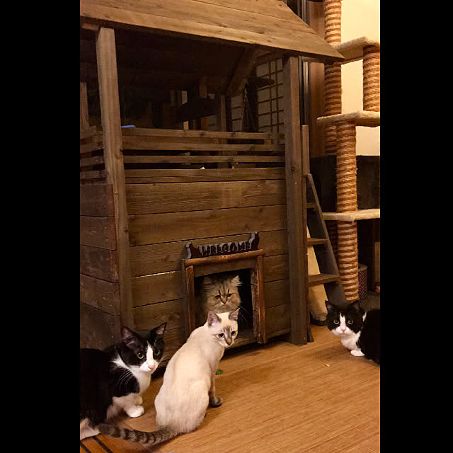 butachanさんの実例写真
