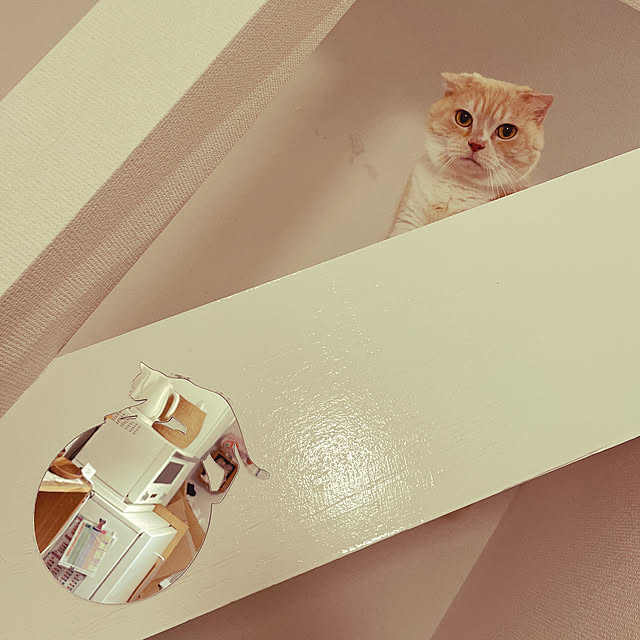 lippieさんの実例写真