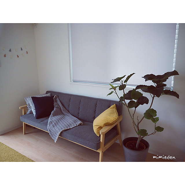 mimiedenさんの実例写真