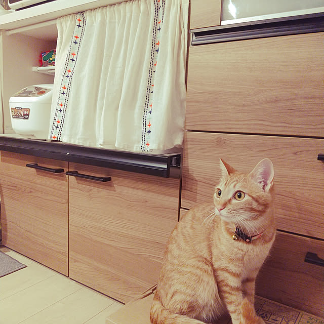 Sauriさんの実例写真