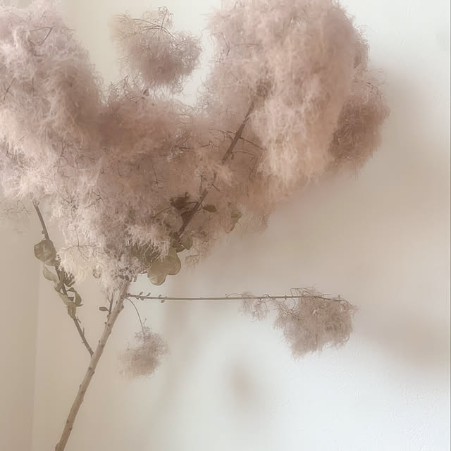 rinarina.lalalaさんの実例写真