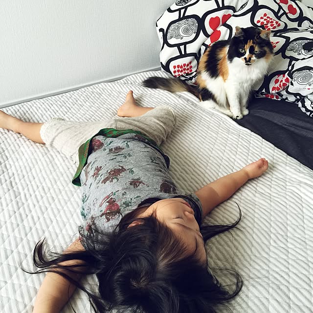 tawashimarukoさんの実例写真
