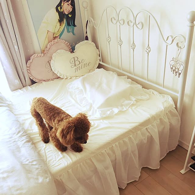ayuayuayuppiさんの実例写真
