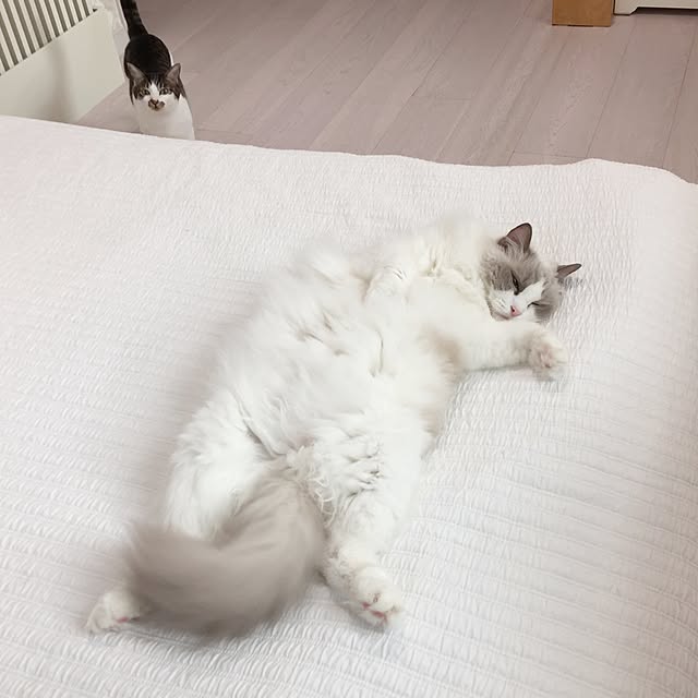 yuchiさんの実例写真