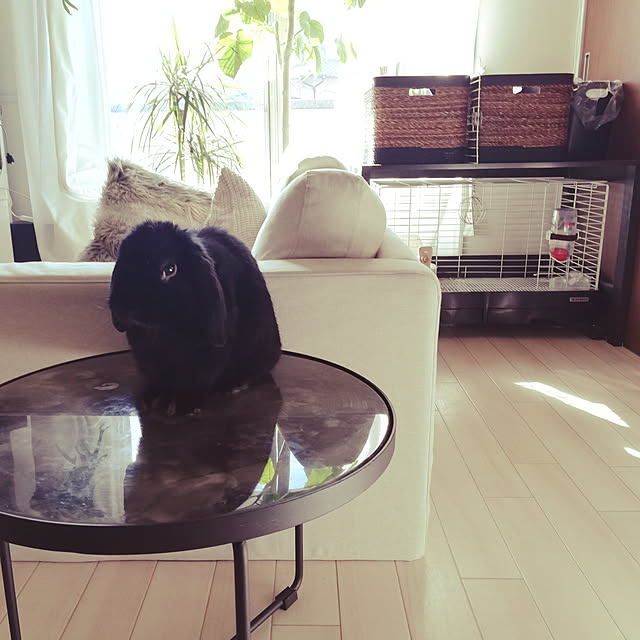coco.Apartmanさんの実例写真
