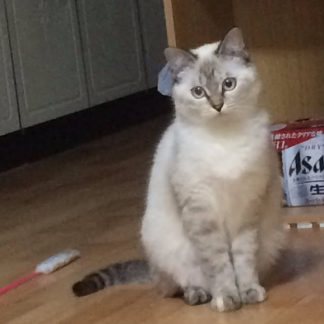 nachuさんの実例写真