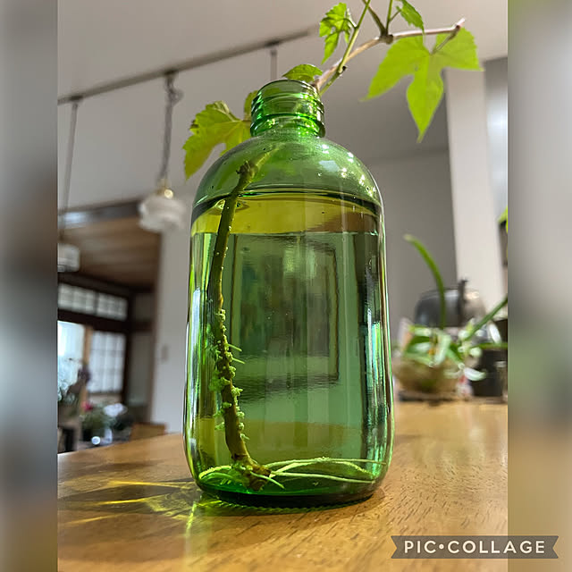 buchiさんの実例写真