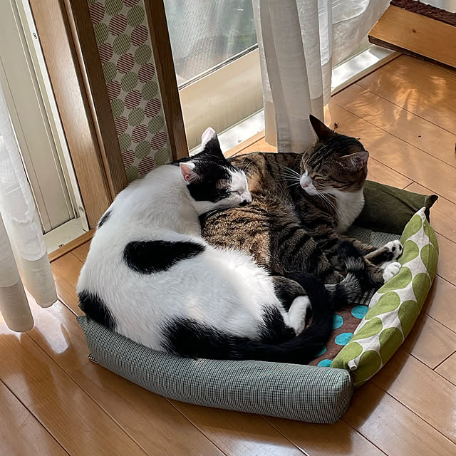 nobikoさんの部屋