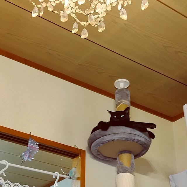 Tさんの実例写真