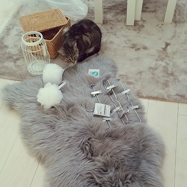 runayucoさんの実例写真