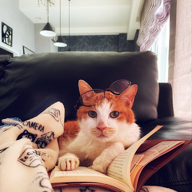 miruさんの実例写真