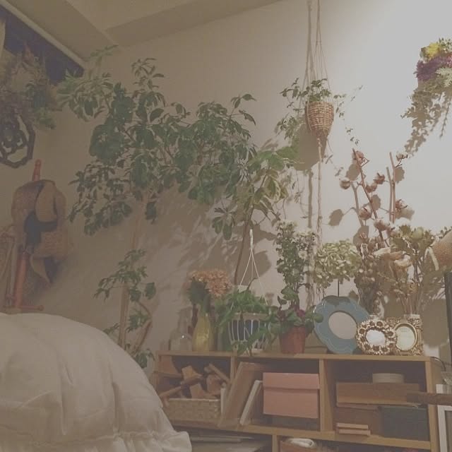 natststsさんの実例写真