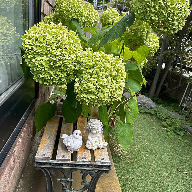 norikorinさんの実例写真