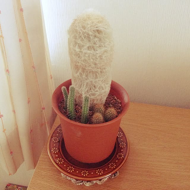 hmrkさんの実例写真