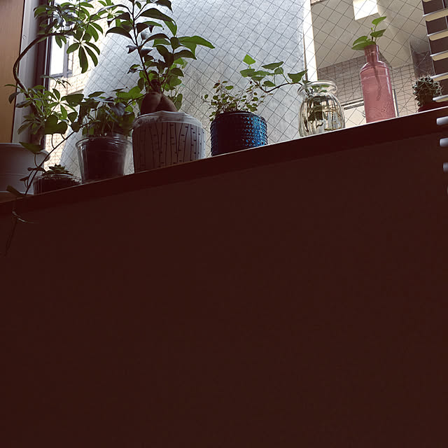 sanさんの実例写真