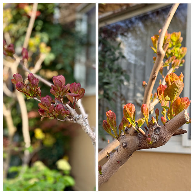 asako.10さんの部屋