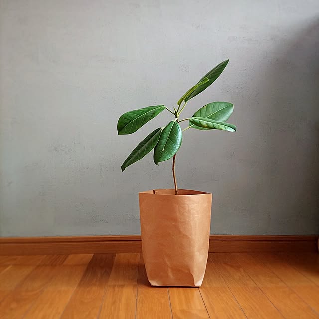 Mi-koさんの実例写真