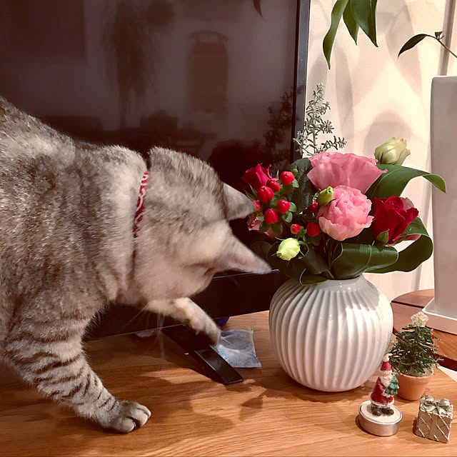 maroさんの実例写真