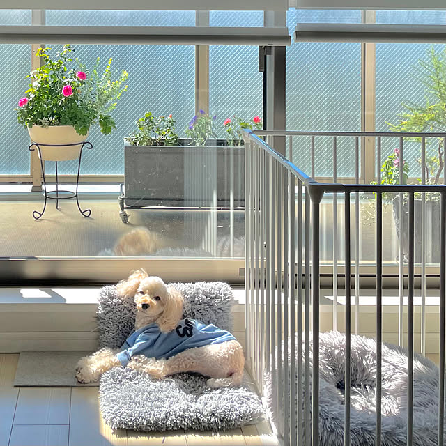 KLさんの部屋