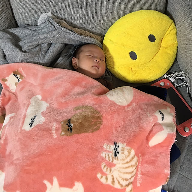 momomamaさんの実例写真
