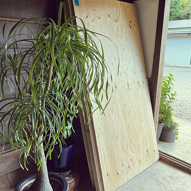 cota2さんの部屋