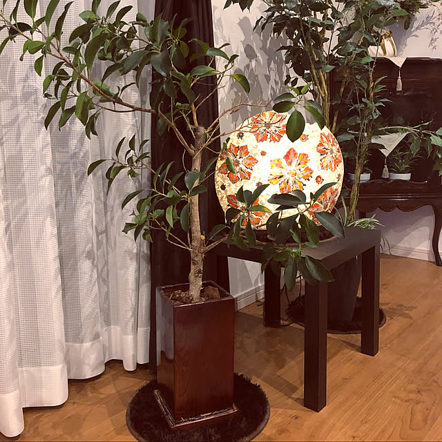 gokumamaさんの実例写真