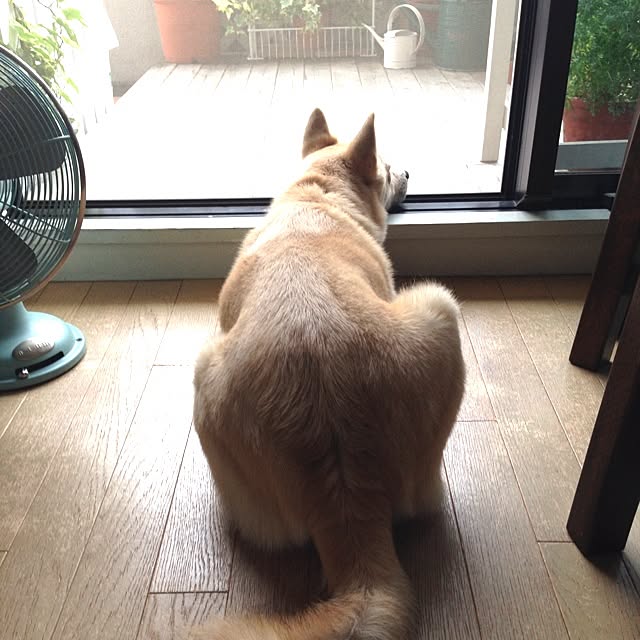 leonaさんの実例写真
