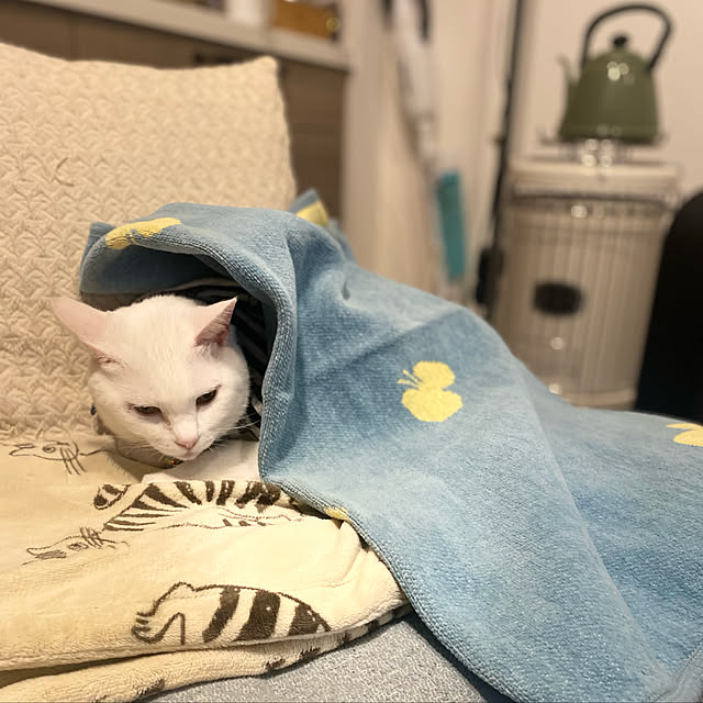 hanaさんの実例写真