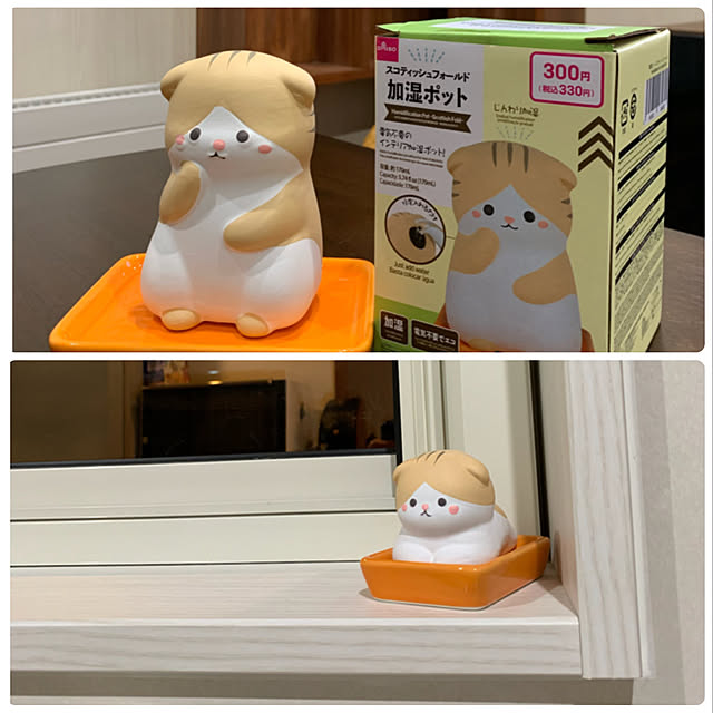 mikeume7さんの実例写真