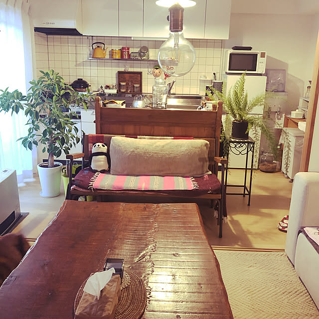 観葉植物/一人暮らし/無印良品/リビングのインテリア実例 - 2019-11-17 20:35:54