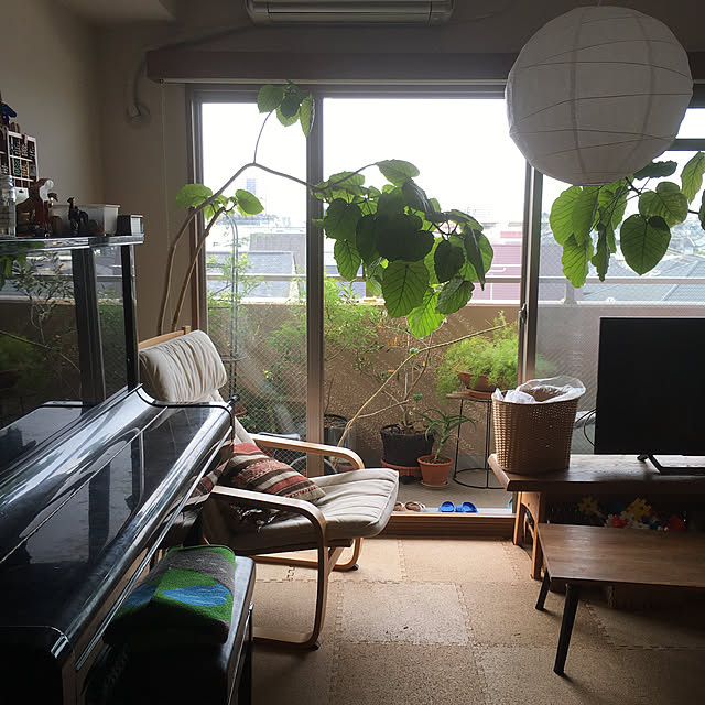 cottoncottonさんの実例写真