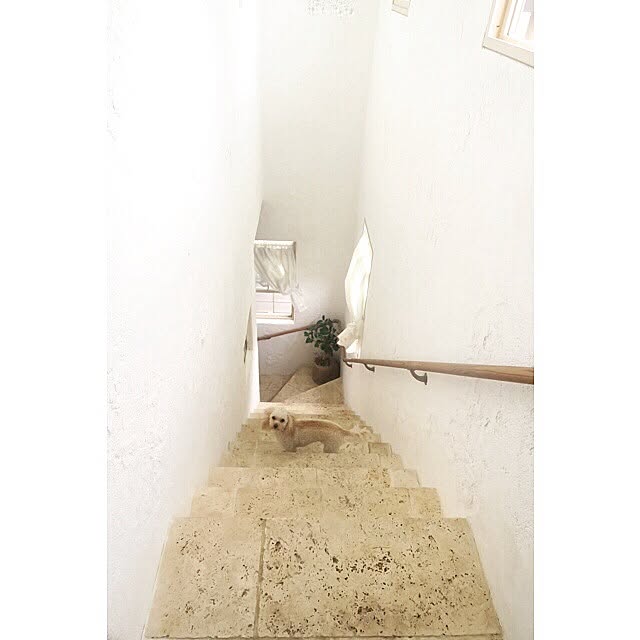 minoi_ts_cafeさんの実例写真