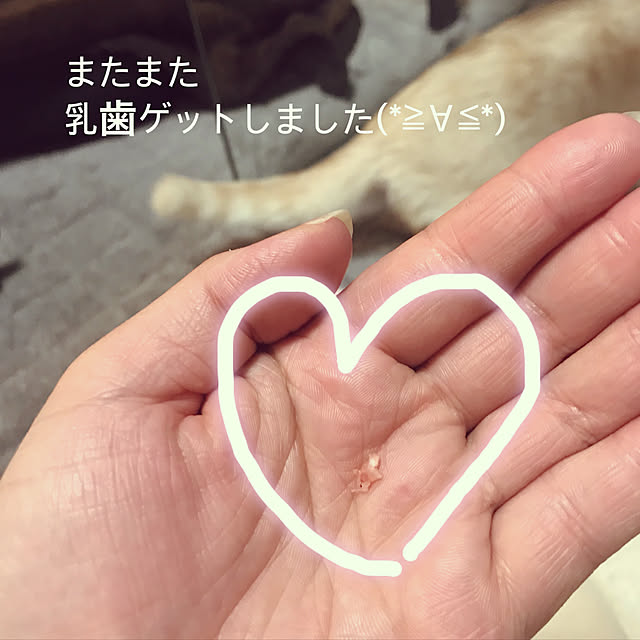 H.Tさんの実例写真