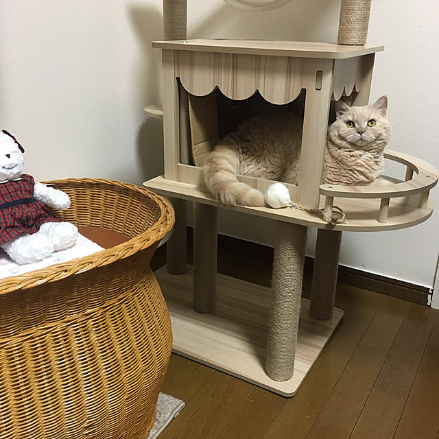 naokoさんの部屋