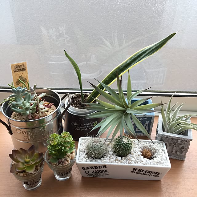 tomo68さんの実例写真